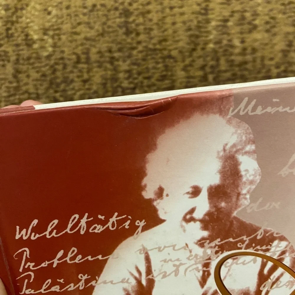 Vintage Albert Through the Looking-Glass: Personal Papers Albert Einstein